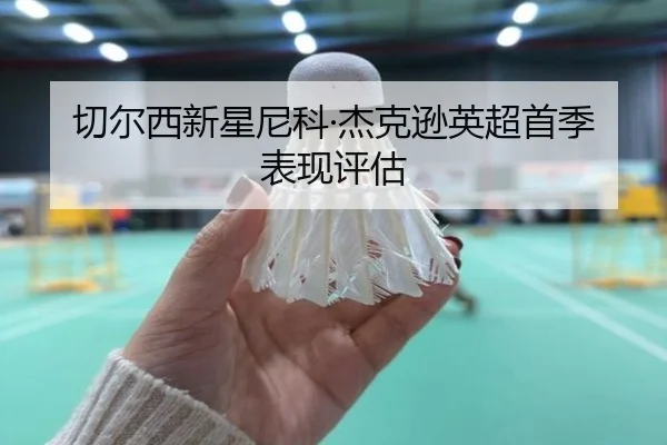 切尔西新星尼科·杰克逊英超首季表现评估