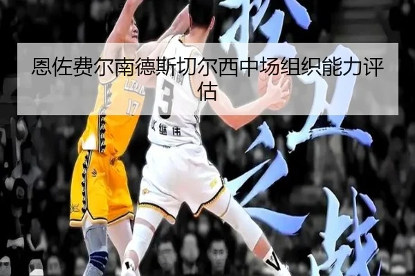 en-zuo-fei-er-nan-de-si-qie-er-xi-zhong-chang-zu-zhi-neng-li-ping-gu-1-890.jpg